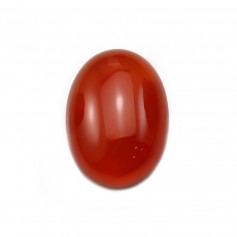 Cabochon cornaline ovale 13x18mm x 2pcs