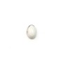 Cabochon howlite ovale 5x7mm x 4pcs