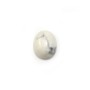 Cabochon howlite ovale 8x10mm x 2pcs