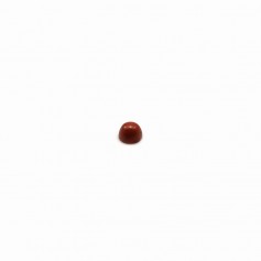 Cabochon de jaspe rouge, de forme ronde, 2mm x 4pcs
