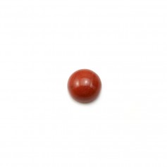 Cabochon de jaspe rouge, de forme ronde, 6mm x 4pcs