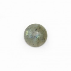 Cabochon labradorite rond 10mm x 2pcs