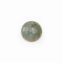 Cabochon labradorite rond 10mm x 2pcs