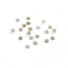 Cabochon labradorite rond 3mm x 6pcs