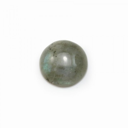 Cabochon Labradorite rond  12mm x 1pc