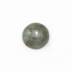 Cabochon labradorite rond 12mm x 2pcs