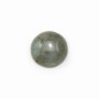 Cabochon labradorite rond 12mm x 2pcs