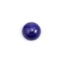 Cabochon lapis-lazuli rond 12mm x 1pc
