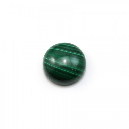 Cabochon malachite rond 8mm  x 1pc