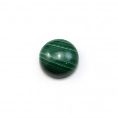 Cabochon malachite rond 8mm  x 1pc