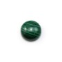 Cabochon malachite rond 8mm  x 1pc