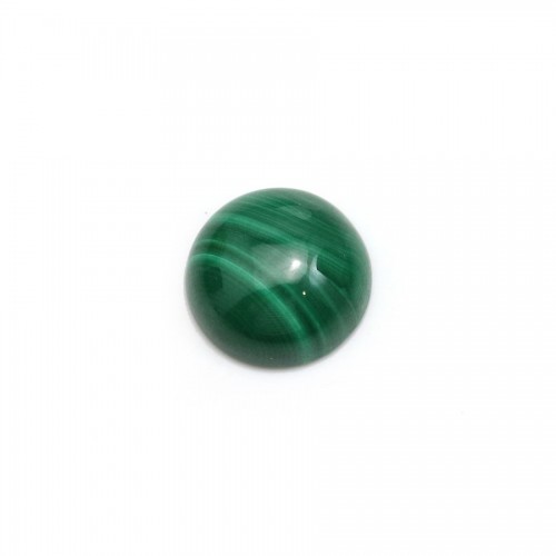 Cabochon de malachite rond, mesurant 10mm x 1pc
