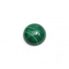 Cabochon de malachite rond, mesurant 10mm x 1pc