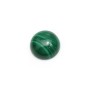 Cabochon de malachite rond, mesurant 10mm x 1pc