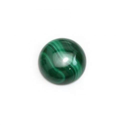 Cabochon de malachite, de forme ronde, mesurant 12mm x 1pc