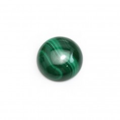 Cabochon de malachite, de forme ronde, mesurant 12mm x 1pc