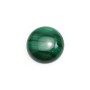 Cabochon de malachite, de forme ronde, mesurant 14mm x 1pc