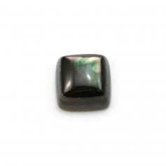 Cabochon de nacre grise, de forme carré, 10mm x 1pc
