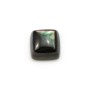 Cabochon de nacre grise, de forme carré, 10mm x 1pc