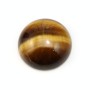 Cabochon d'oeil de tigre, de forme ronde, 16mm x 2pcs