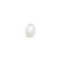 Cabochon Pierre de Lune Ovale 6x8mm x 2pcs