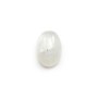 Cabochon Pierre de Lune Oval 8x12mm x 1pc