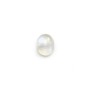 Cabochon Pierre de Lune Oval 8x10mm x 1pc