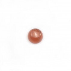 Cabochon de rhodochrosite de forme ronde 6mm x 2pcs