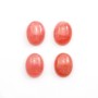 Cabochon de rhodochrosite de forme ovale 10x13mm x 1pc
