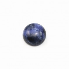 Cabochon Sodalite  rond  10mm x 4pcs
