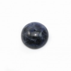 Cabochon sodalite ronde 12mm x 2pcs