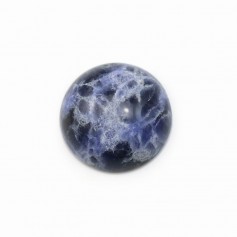 Cabochon Sodalite rond 14mm x 2pcs