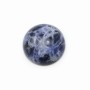 Cabochon Sodalite rond 14mm x 2pcs