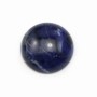 Cabochon Sodalite rond 16mm x 2pcs