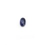 Cabochon de sodalite, de forme ovale, 4 * 6mm x 4 st