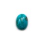 Cabochon de turquoise de forme ovale, 12x16mm x 1pc