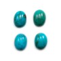 Cabochon de turquoise de forme ovale, 12x16mm x 1pc