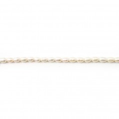 Perles d'eau Douce Blanc ovale 4x5mm x 40cm