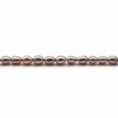 Perles de culture d'eau douce, mauve, olive, 3-4mm x 20pcs