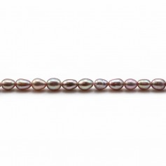 Perles de culture d'eau douce, mauve, olive, 3-4mm x 20pcs