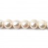 Perles de culture d'eau douce, blanche, irrégulière, 9-11mm x 5pcs