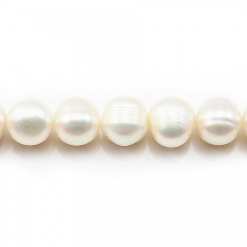 Perles d'eau Douce Blanc 10-12mm x 2pcs