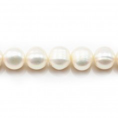 Perles d'eau Douce Blanc 10-12mm x 2pcs