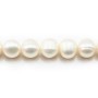 Perles d'eau Douce Blanc 10-12mm x 2pcs
