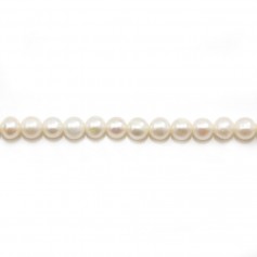 Round white freshwater pearls on thread 4-5mm x 40cm