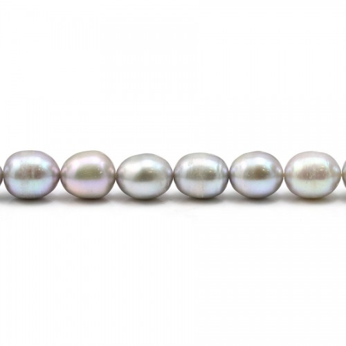 Perles de culture d'eau douce, grise B, olive, 7-8mm x 10pcs