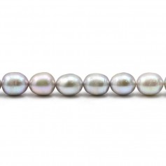 Perles de culture d'eau douce, grise B, olive, 7-8mm x 10pcs