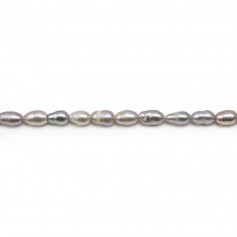 Light silvery grey oval freshwater pearls on thread 4.5mm x 40cm