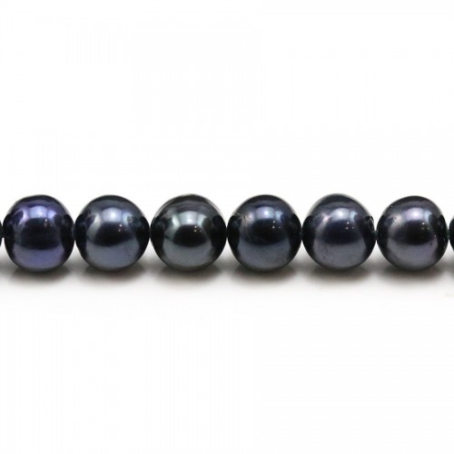  Freshwater Pearle ovale colored 5-5.5mm x 40cm