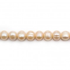 Freshwater cultured pearls, salmon, oval/regular, 11-12mm x 40cm